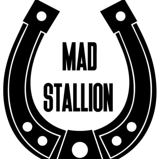 Mad Stallion Productions - creators of film & theatre