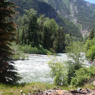 7wombolthv's profile picture. 