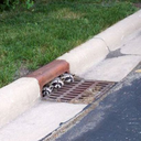 eddy pardo - @negr5 - Twitter