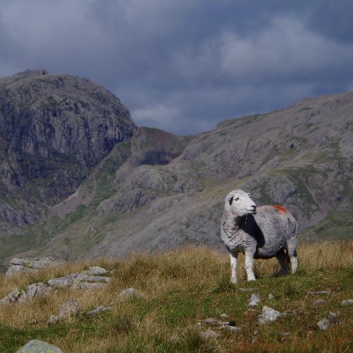 Lover of Cumbria, especially the fells and the people.