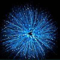 DalkaraLab (@dalkaralab) 's Twitter Profile