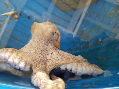 WitzelGreg's profile picture. I am a human.