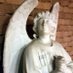 St Johns Pleck And Bescot💙 (@pleckst) Twitter profile photo St Johns Pleck And Bescot💙 (@pleckst) Twitter profile photo