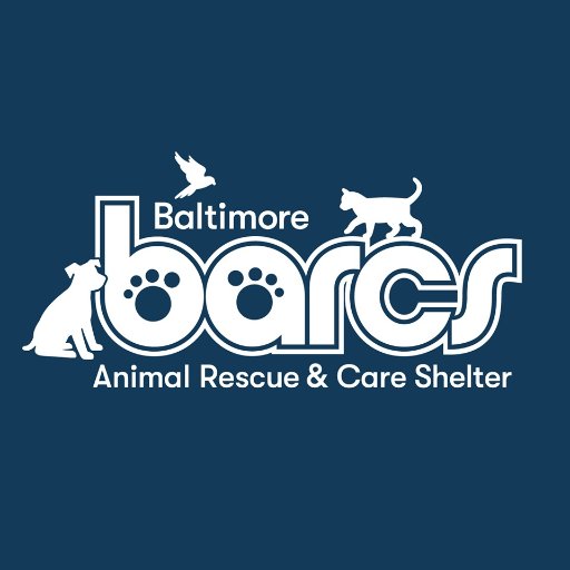 BARCS Animal Shelter 🐾