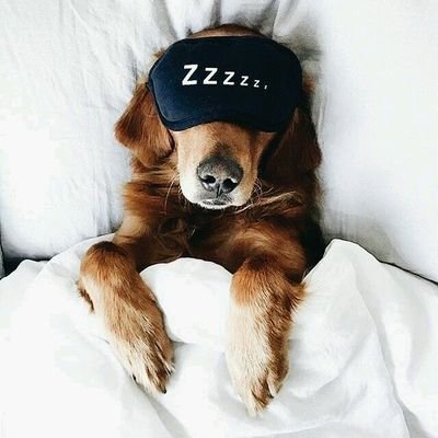 marialuragu's profile picture. 