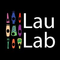 Ken Lau Lab(@KenLauLab) 's Twitter Profile Photo