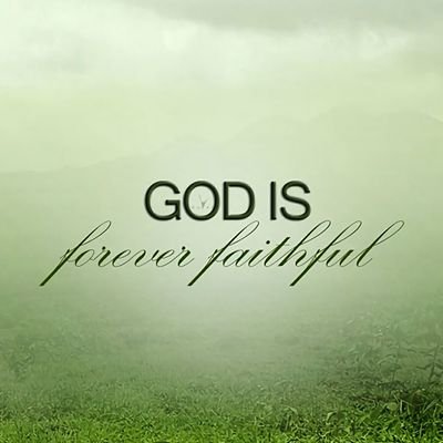 MMelissa2460's profile picture. 