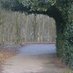 Hartshill Hayes Country Park (@hartshill18hay1) Twitter profile photo Hartshill Hayes Country Park (@hartshill18hay1) Twitter profile photo
