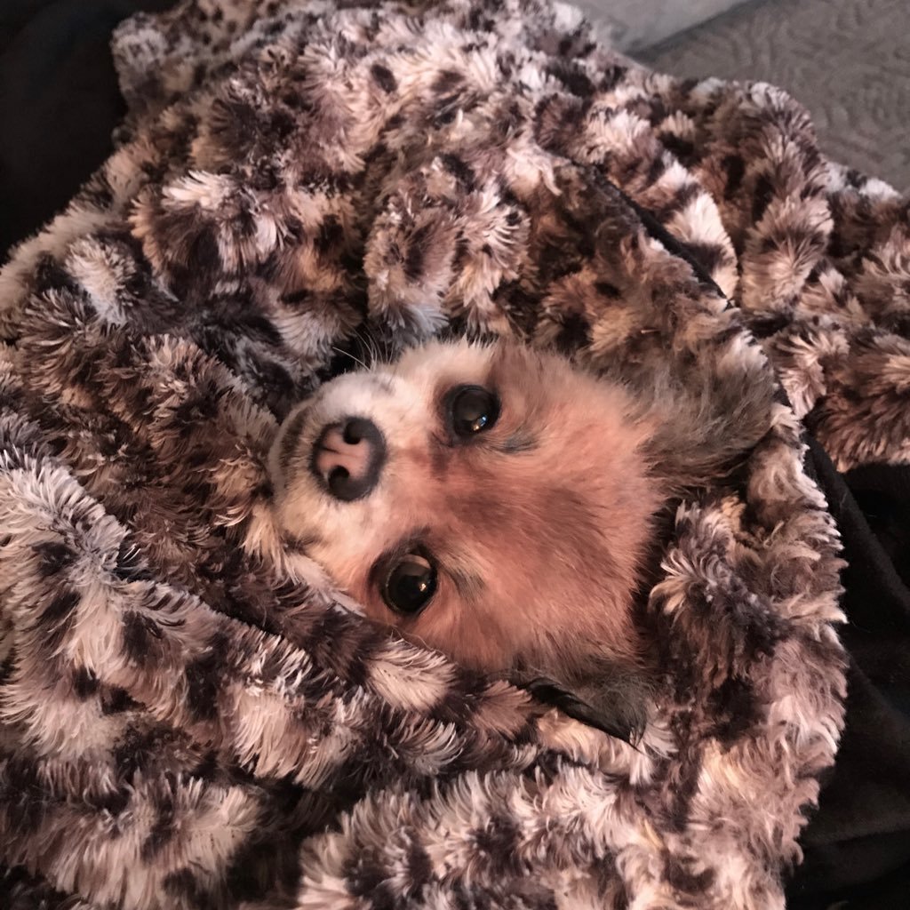 haynes_sandi's profile picture. Born and raised in Middletown, IN. Loves football, nascar, horses, fishing, camping, hunting, volleyball, and my #1 passion are the gulf beaches! ENGLEWOOD,FLA