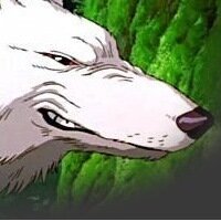 Opression is the Mask of Fear ๐ณ๏ธโ๐ (@yamainu) 's Twitter Profile