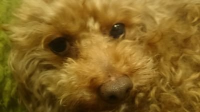 YBthz35BpNSOLSI's profile picture. 