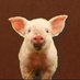 A.Sentient #ItWasAScam ๐ช๐บ๐ต๐ธ (@melis72cares) Twitter profile photo A.Sentient #ItWasAScam ๐ช๐บ๐ต๐ธ (@melis72cares) Twitter profile photo