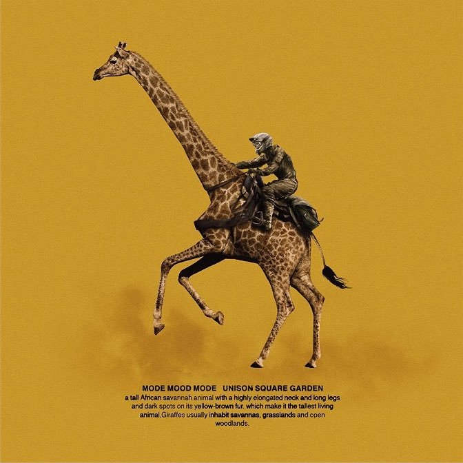 4GV0ZHvoDMq14JB's profile picture. バド/ソフトテニス/music