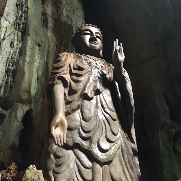 AnthonyMottola3's profile picture. 