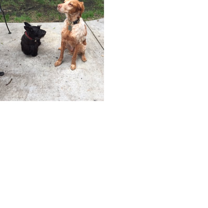 Richard55124554's profile picture. Striving for awesome everyday.