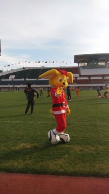 kouno691205's profile picture. よろしくお願いします