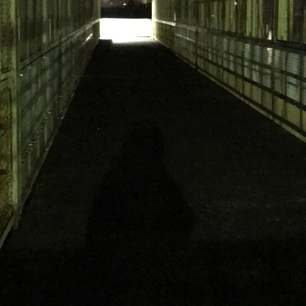 Erreivkea's profile picture. 