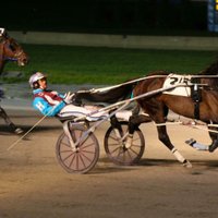 Mickey Holliday (@mhharnessdriver) 's Twitter Profile