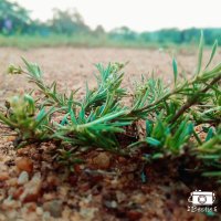 Prabhu karthik (@prabhukarthik1) 's Twitter Profile
