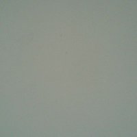 manzigert (@manzigert) 's Twitter Profile