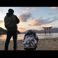 岡田 (@okady_y) Twitter profile photo