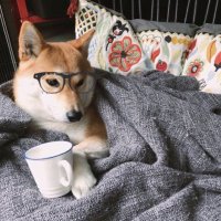 tofanso (@tofanso2) 's Twitter Profile