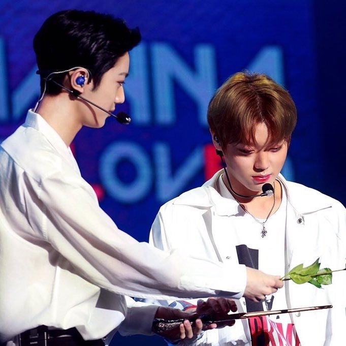 panwinkth's profile picture. Lai Kuanlin & Park Jihoon - 2033 🌧🌸