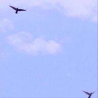 ر (@27wm86997) Twitter profile photo