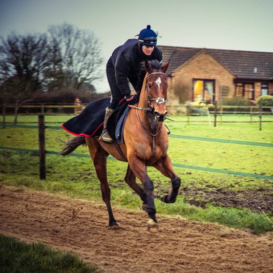 Small family run Racehorse training yard in Leicestershire