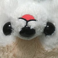 は (@harashi_diva) Twitter profile photo