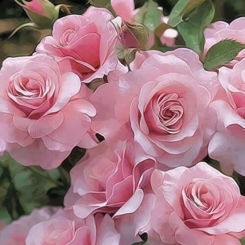 NeideAdams's profile picture. 