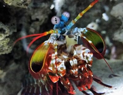 footrok's profile picture. ....