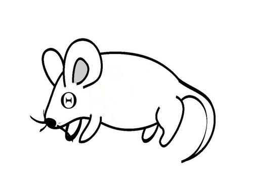 thetamouse's profile picture. The Shakespeare of Cartesian Theatre