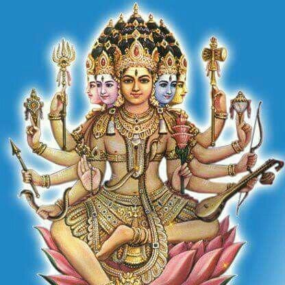 Prasad52409569's profile picture. I'm not a special.. but sometimes?