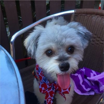 kazuchanhello's profile picture. 