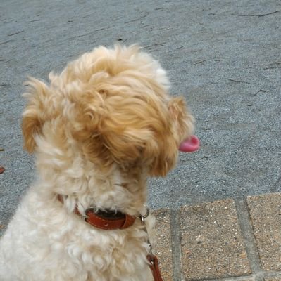 某上場企業の人事。ベンチャー感は継続中の企業に所属。採用、評価、教育、労務、給与等人事業務全般に関わっています。組織、人事に関する話題を中心に発信していきます。