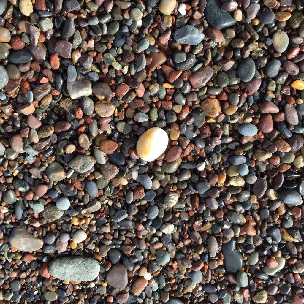 ScotDeJong's profile picture. I'm just wild bout learning......and other stuff, too!