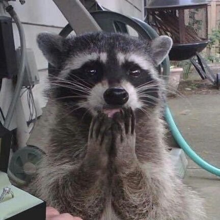 Schwein573's profile picture. 可愛い女の子見る用アカウント。