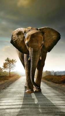 pastorbeers85's profile picture. Soccer Premier League Sports Sports