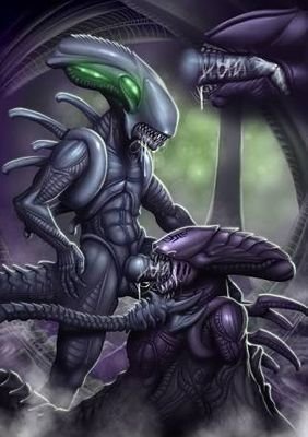 Misstres:@Isabell91512689  love females Predators,Xenomorphs,Humans and Furrys females, futas, cuntboys, femboys, males, and herms. Other acount @JamesTheThot