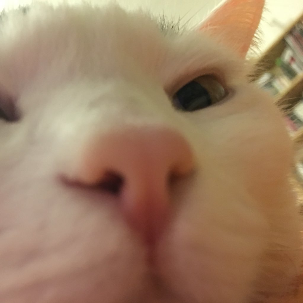 Malinessa2's profile picture. Cuando consigo tener tiempo libre, devoro libros, trato de aprender cosas nuevas o simplemente me siento a no hacer nada, que también es sano y necesario.