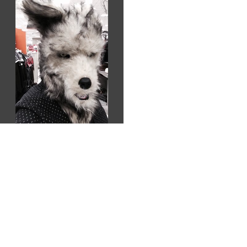 AEMO502's profile picture. 