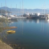 Amed'li Brahim (@amedli_ibrahim1) Twitter profile photo