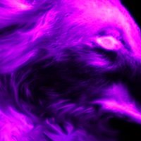 KursedWolf (@kursedwolf) 's Twitter Profile