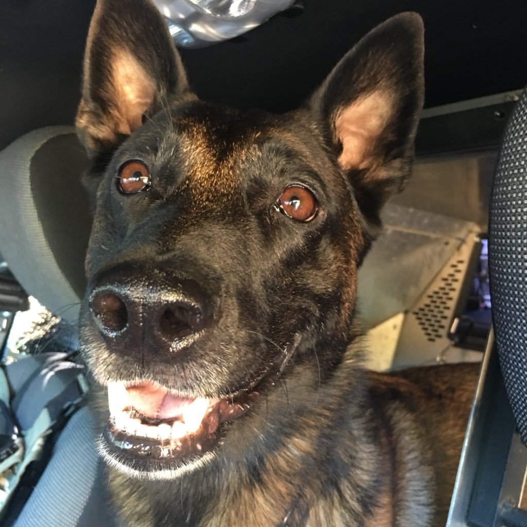 SeXyReXyK19's profile picture. 