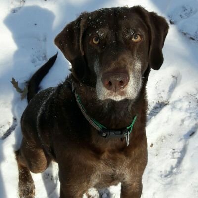 SupportLearnin2's profile picture. Esse quam videri - To be, rather than to seem