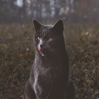 agresifmaydanoz's profile picture. Hepinizden nefret ediyorum mizahı. Komik veya özgün değil. Sadece içimden geldiği gibi.