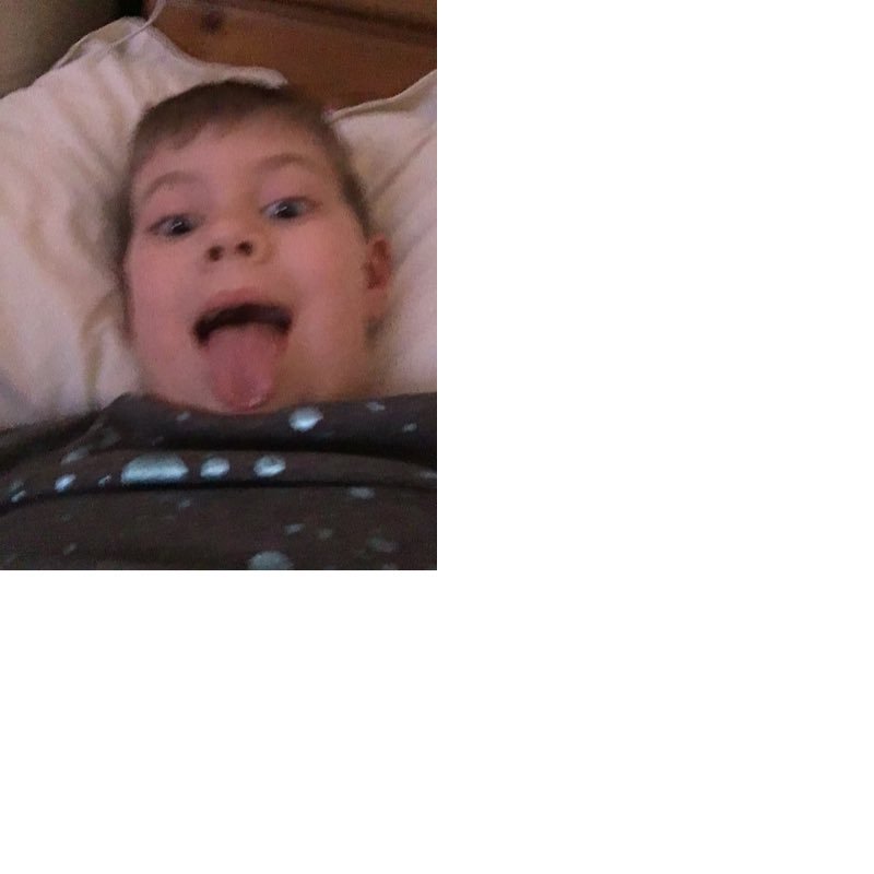 mason99918772's profile picture. Mason is really good at building box forts and playing basketball