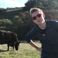GMO (@gmaxot) 's Twitter Profile
