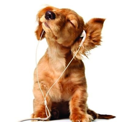 Kokm07's profile picture. I'm going to draw art... very soon
I can't draw